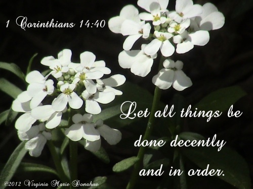 all things done in wisdom and order